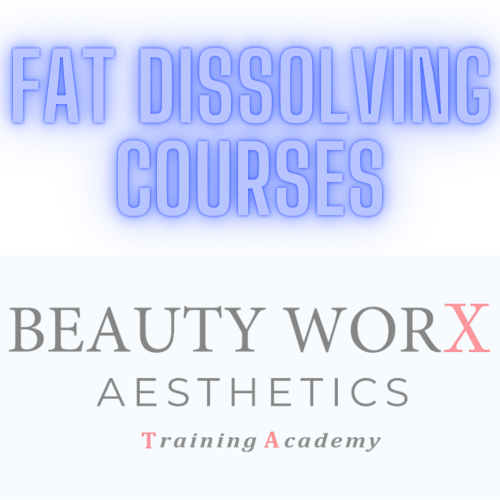 Fat Dissolving Training Courses