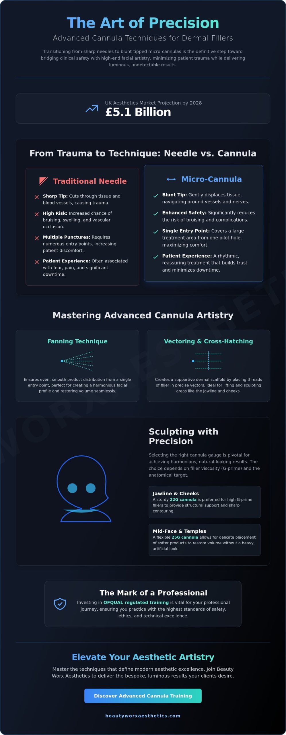 Advanced Cannula Training for Fillers UK: Mastering the Art of Precision